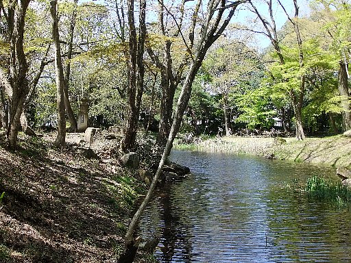 お浜御殿.jpg
