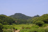 佐和山城跡.jpg