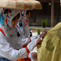 御田植祭.jpg