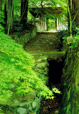 百斉寺表参道.jpg