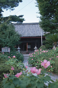 舎那院.jpg