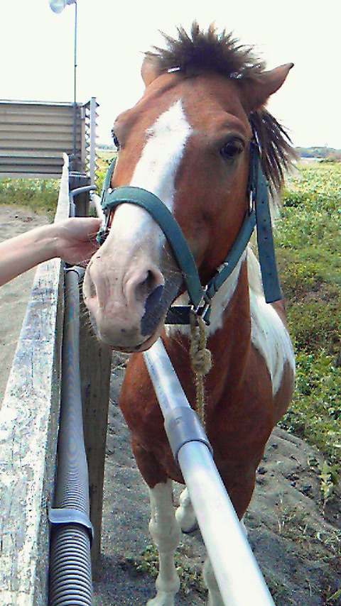 201009061255001.jpg