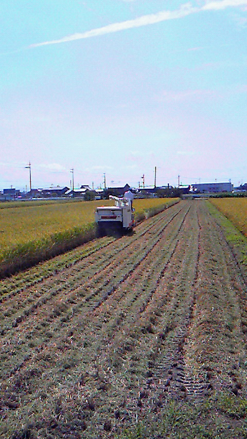 201009181137000.jpg