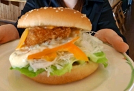20120302091657burg[1].jpg
