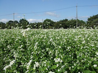DSCF1306.jpg