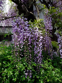 DSCF1763.jpg