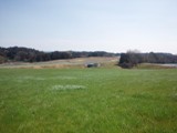 DSC_0201.JPG2.JPG