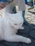 DSC_0213.JPG2.JPG