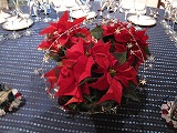IMG_1953.jpg