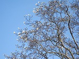 IMG_2320.jpg