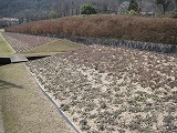 IMG_2330.jpg