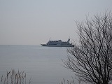 IMG_2334.jpg