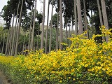 IMG_2378.jpg