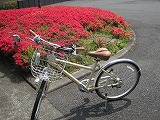IMG_2415.jpg