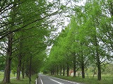 IMG_2437.jpg