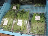 IMG_2447.jpg