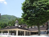 IMG_2525.jpg