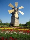 reDSC_0272.jpg