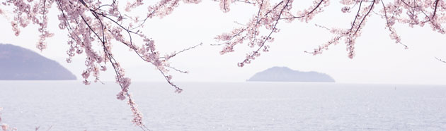 lake_biwa_spring.jpg