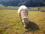 reDSC_0688.jpg