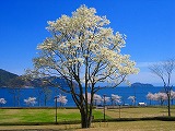 reIMG_0748.jpg