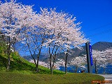 reIMG_0756.jpg