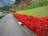 reIMG_2391.jpg