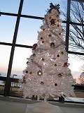 reIMG_3255.jpg