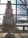 reIMG_3266.jpg