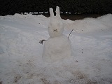 reIMG_3291.jpg