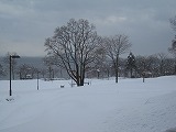 reIMG_3341.jpg