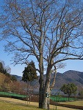 reIMG_3575.jpg