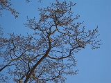 reIMG_3576.jpg