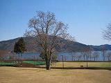 reIMG_3577.jpg