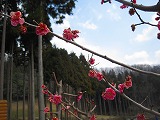 reIMG_3579.jpg