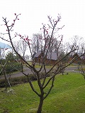 reIMG_3582.jpg