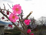reIMG_3583.jpg
