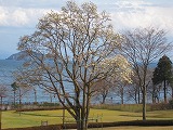 reIMG_3593.jpg