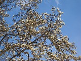 reIMG_3596.jpg