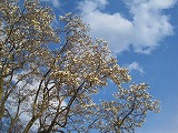 reIMG_3597.jpg