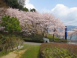 reIMG_3650.jpg
