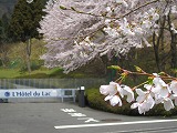 reIMG_3680.jpg