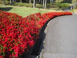 reIMG_3737.jpg
