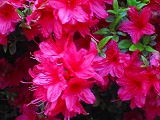 reIMG_3747.jpg