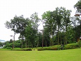 reIMG_3846.jpg