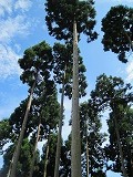 reIMG_3901.jpg