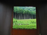 reIMG_3905.jpg