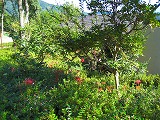 reIMG_4078.jpg