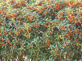reIMG_4086.jpg