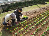 reIMG_4153.jpg